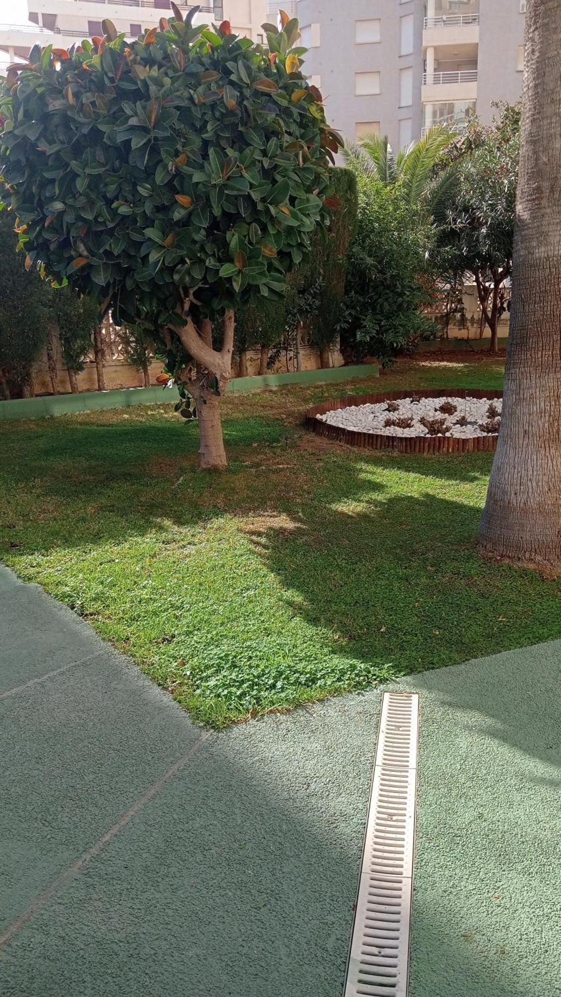 Rosa De Los Vientos Calpe Exteriör bild